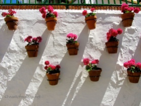 Flower-filled pots in Torrox, Spain